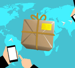 Full on-the-ground Logistical support